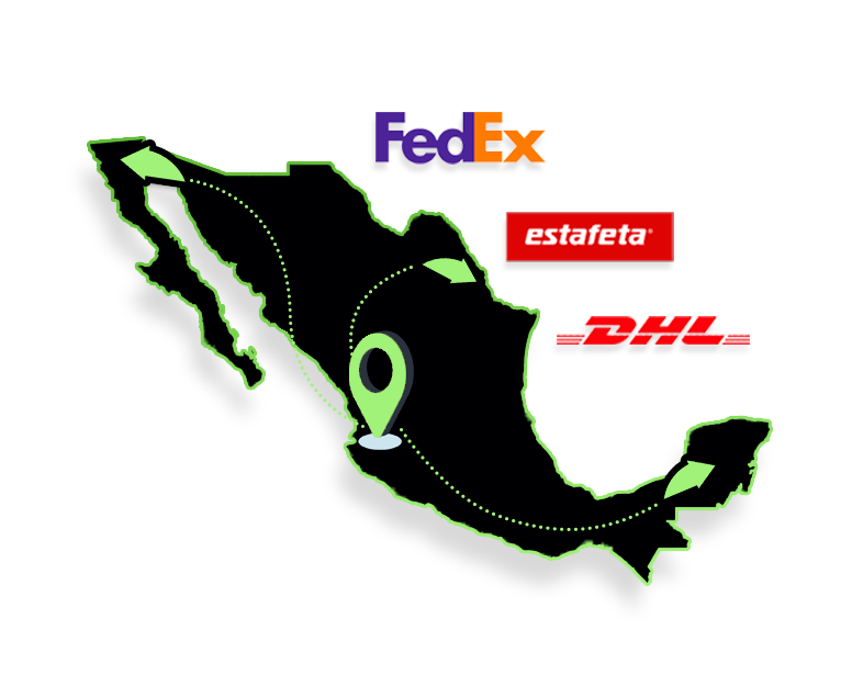 envio de tramites vehiculares a todo méxico